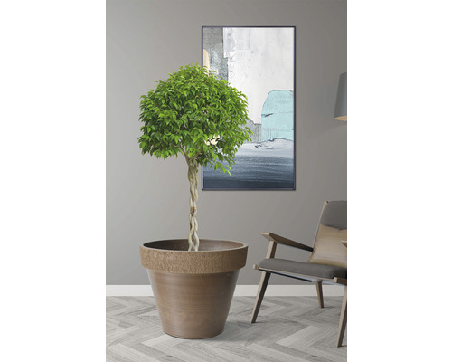 Pflanztopf Lafiora Kunststein  50 cm H 40 cm braun | HORNBACH