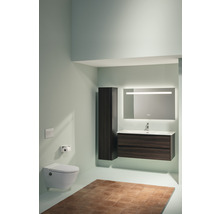 Dusch-WC Set LAUFEN Cleanet Navia Tiefspüler ohne Spülrand weiß matt mit Beschichtung und WC-Sitz H8206017570001-thumb-3