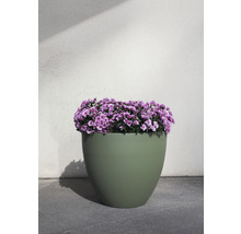 Blumentopf mit lila Blumen