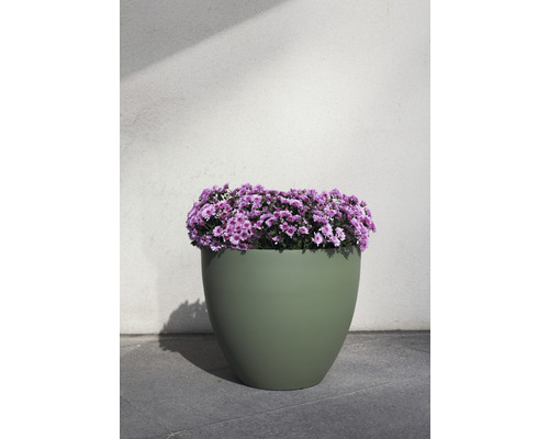 Blumentopf mit lila Blumen