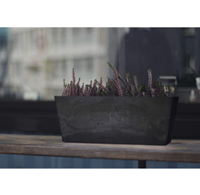 Balkonkasten Lafiora Kunststoff 45 x 17,2 x 17 cm schwarz