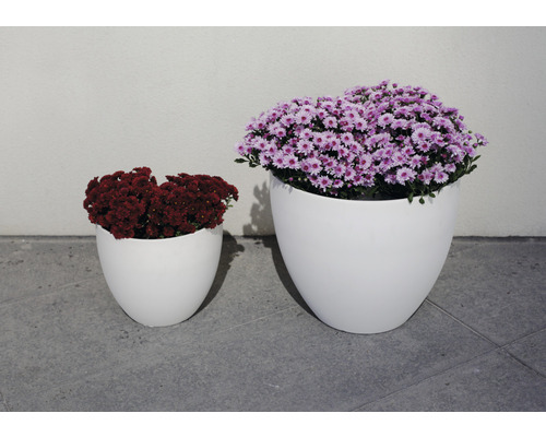 Zwei weiße Pflanzgefäße mit Blumen