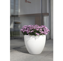 Blumentopf aus Kunststoff mit blühenden Blumen
