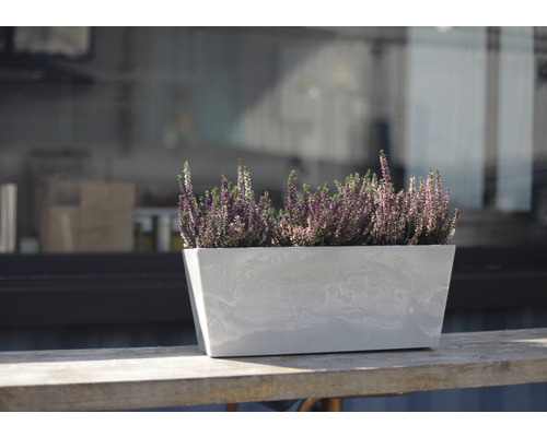 blumenkasten büro Beton Blumenkasten grau, länglich main image 1