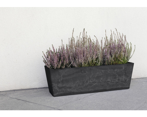 Rechteckiger Pflanzkasten mit Heidekraut