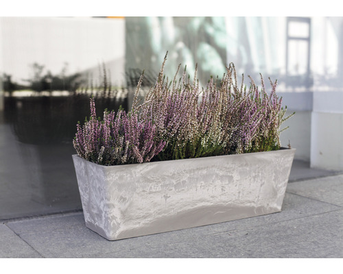 Rechteckiger Blumenkasten aus Kunststoff mit Heidekrautbepflanzung
