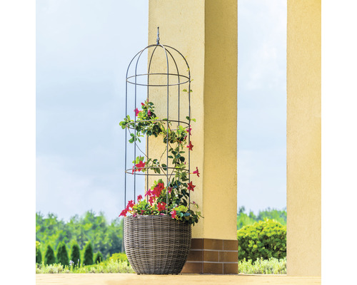 Blumenkübel mit Rankhilfe und roten Blüten auf einer Terrasse.