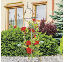 Rosenbogen mit roten Rosen im Garten