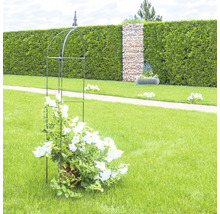 Metall-Rankhilfe mit blühenden Pflanzen im Garten