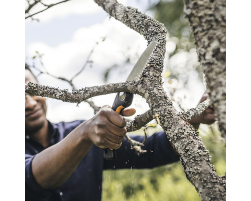 Mann sägt Ast mit Astsäge