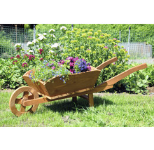 Holzschubkarre mit Blumen im Garten