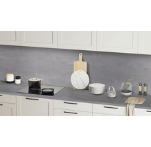Küchenrückwand Hemlock Lava / Oxid 4100x640x15 mm (Zuschnitt online reservierbar)-thumb-3