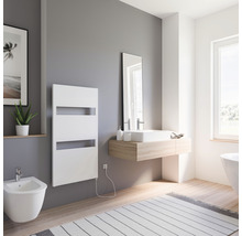 Modernes Badezimmer mit Heizkörper, Waschtisch und Bidet für eine helle und organisierte Atmosphäre.