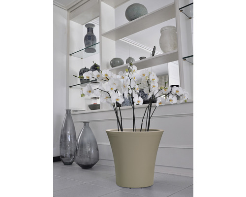 Dekoratives Wohnambiente mit Orchideen in Pflanzkübeln vor einem Regal