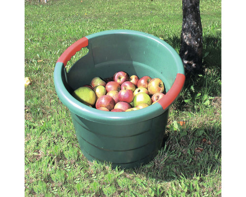 Eimer gefüllt mit Äpfeln auf einer Wiese