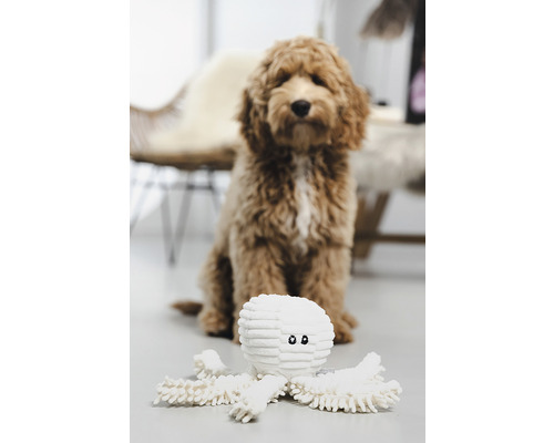 Hund mit Spielzeug-Oktopus