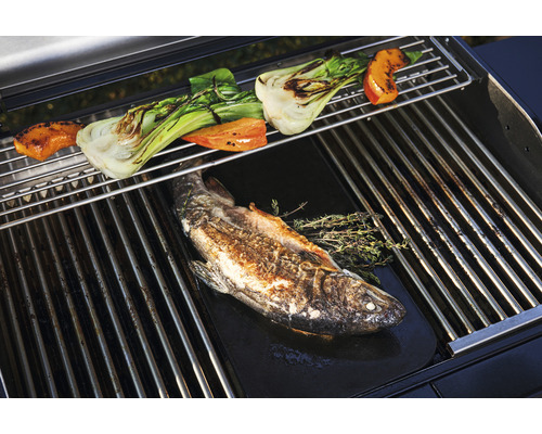 Gegrillter Fisch und Gemüse auf einem Grill