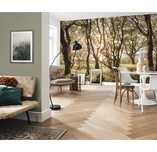 Wohnraum mit Fototapete eines Waldes, Sofa, Sessel, Tisch und Parkettboden
