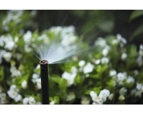 Bewässerungssystem mit Sprinkler im Garten