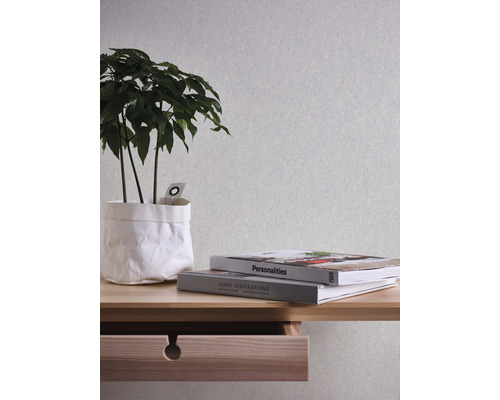 Zimmer Szene mit Wand, Pflanze, Tisch und zwei Büchern.
