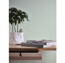 Dekorative Zimmerpflanze im Topf auf einem Holztisch mit Büchern und Schublade vor einer einfarbigen Wand