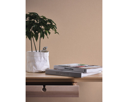 Dekorative Zimmerpflanze in Papiertüte auf einem Tisch mit Schublade und Büchern
