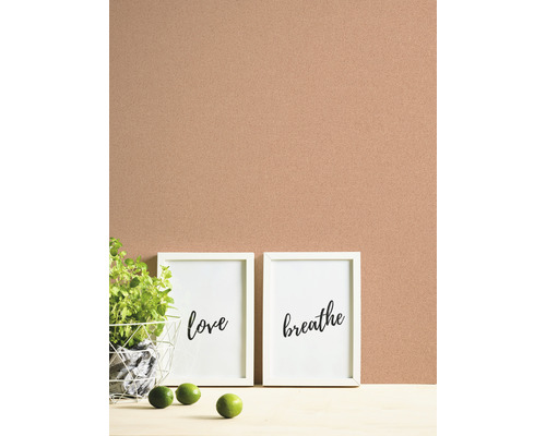 Dekorative Szene mit Zimmerpflanze, zwei gerahmten Bildern mit den Aufschriften Liebe und Atmen und Limetten