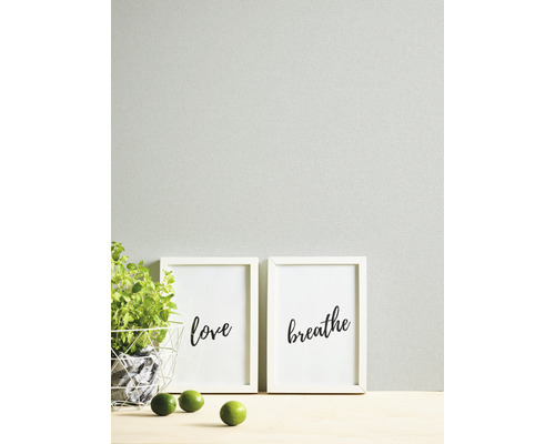 Nahaufnahme von zwei gerahmten Bildern mit den Aufschriften Liebe und Atmen, einer Pflanze im Korb und einigen Limetten
