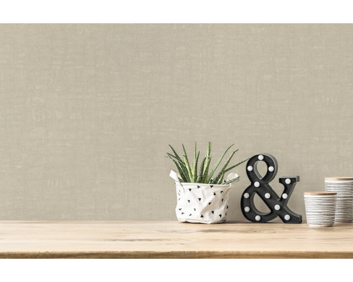 Beige Vliestapete im Wohnraum mit Pflanze und Dekoration