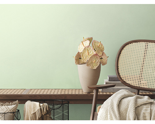 Dekorativer Raum mit Holzbank, Anthurien, Rattansessel und Wohnaccessoires