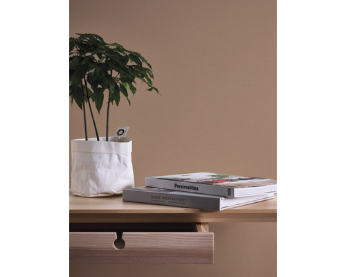 Tisch mit Zimmerpflanze im Papierbeutel und zwei Büchern