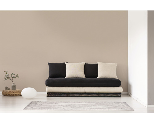 Futon mit Kissen auf einem Teppich in einem Wohnzimmer