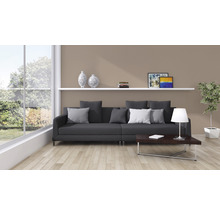 Wohnzimmer mit Sofa, Couchtisch, Regal und Zimmerpflanze