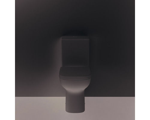 Toilette mit Spülkasten