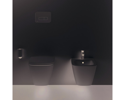 Badezimmer mit WC, Bidet und Betätigungsplatte