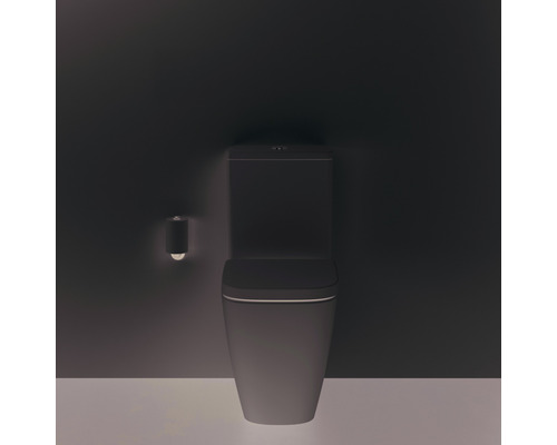 Schwarze Toilette mit Spülkasten und Toilettenpapierhalter an der Wand