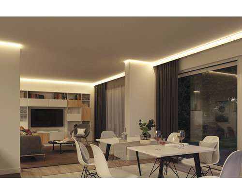 Wohnzimmer mit Deckenbeleuchtung, Esstisch und Regalsystem