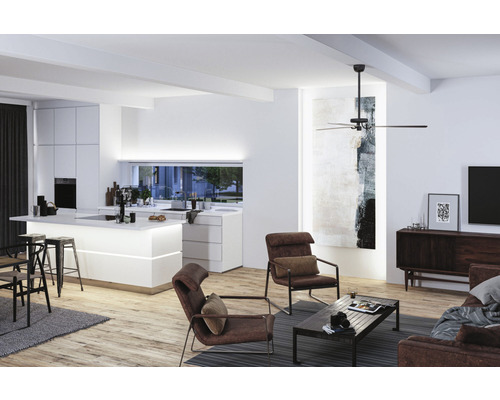 Heller Wohnraum mit Küchenbereich, Deckenventilator und Sitzgelegenheiten