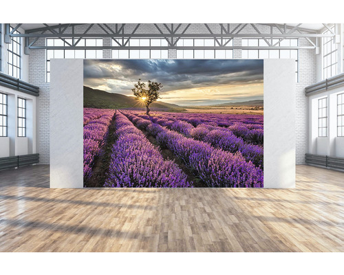 Wandtuch Lavendelfeld 350x250 cm