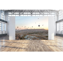 Wandbild mit Luftballons über einer Landschaft in einem Raum