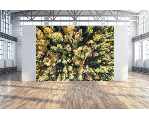 Wandtuch Vogelperspektive Wald 350x250 cm