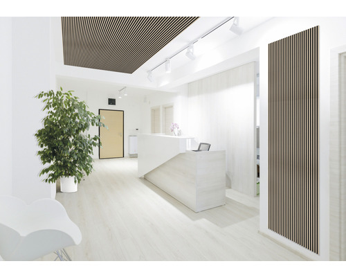 Heller Empfangsbereich mit Holzlamellendecke, Empfangstresen und Zimmerpflanze