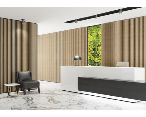 Empfangsbereich mit Holzpaneelen, Rezeptionstisch, Stuhl und Dekoration