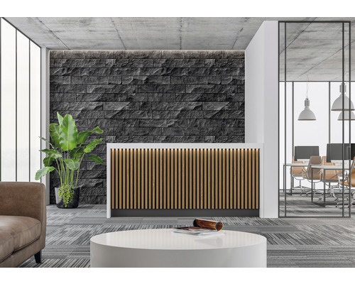 Empfangsbereich mit Rezeption, Steinwand und Zimmerpflanze