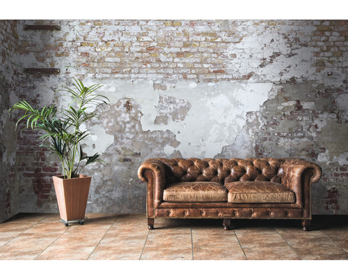 Interieuransicht mit Ledersofa, Zimmerpflanze und Backsteinwand