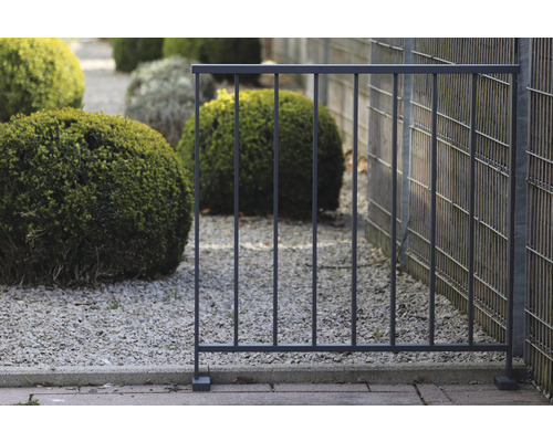 Gartenszene mit Metallzaun und Ziersträuchern