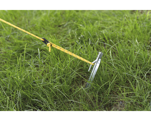 Hering im Gras mit Spannseil