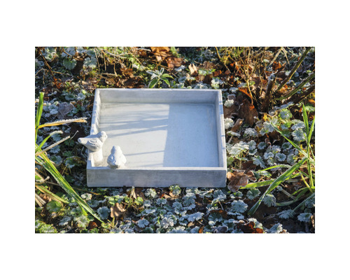 Rechteckige Vogeltränke aus Stein mit zwei Vogelstatuen im Garten.