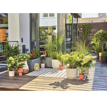 Bewässerungsset GARDENA Micro-Drip Start Set Terrasse (für bis zu 30 Topfpflanzen)-thumb-5 Bewässerungsset GARDENA Micro-Drip Start Set Terrasse (für bis zu 30 Topfpflanzen)-thumb-5