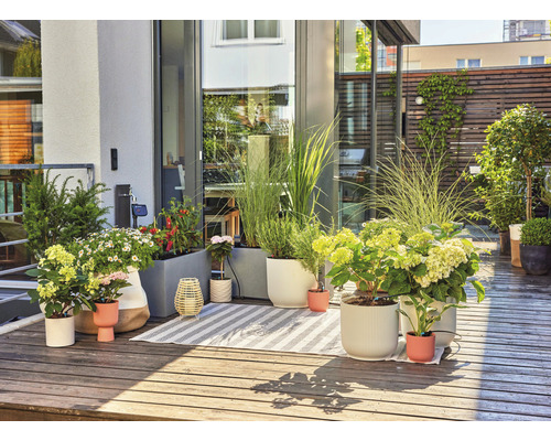 Gestalteter Balkon mit Pflanzen, Pflanzgefäßen und Teppich